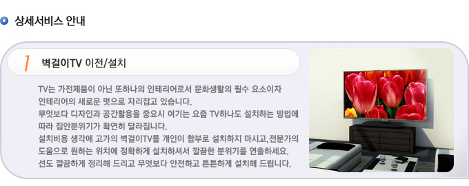 �󼼼��񽺾ȳ�